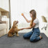 2 Packs 48x48in, LOOBANI Extra Large Reusable Dog Mat for Floor, Non-Slip Washable Pee Pad for Dogs, Fast Absorbent Pet