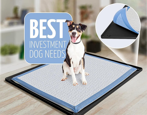 2 30 23 Skywin TidyFriend Pk Pee Pad Holder Tray for x Pee Pads with Corner Lock Holes, Raised Edges, Non-Spill, Easy