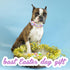 Unique Style Paws Easter Dog Collar with Bow, Colorful Egg Pet Collar for Small Medium Large Dogs