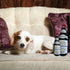 Bonne et Filou Wine Bottle Plush Squeaky Dog Toy (Bark'gundy Red Whine, 1 Large Size) for Small and Medium Dogs