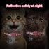 2 Pack Breakaway Cat Collars & Name Tags, Reflective Kitten Collar with Bell, Adjustable 7''-12'', Pet Supplies