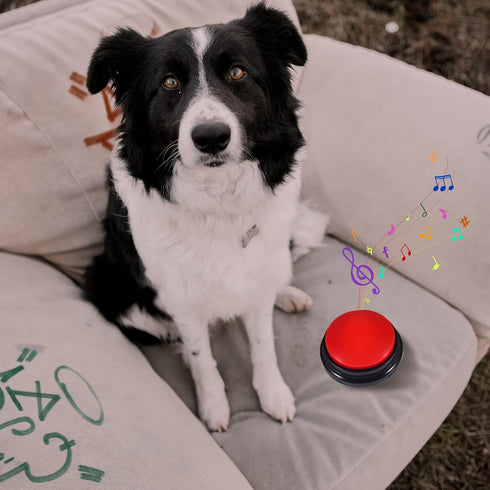 Pet Communication Button for Dogs, 30 Seconds Voice Recording Dog Talking Buzzer for Potty Training, Not Include