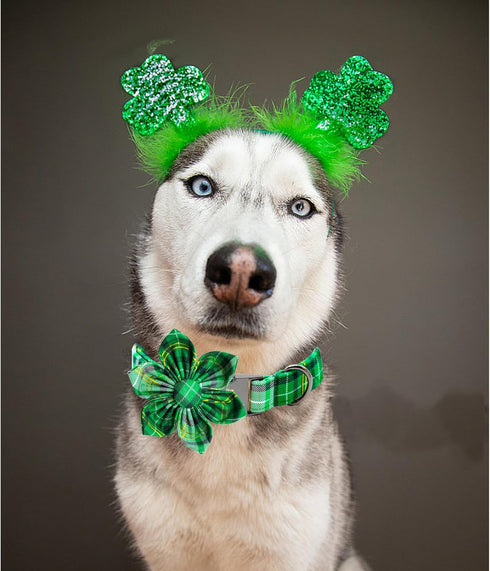 Lionheart Glory St. Patrick's Day Dog Collar, Green Plaid Flower Collar for Medium Dogs, Heavy Duty Cute Collars
