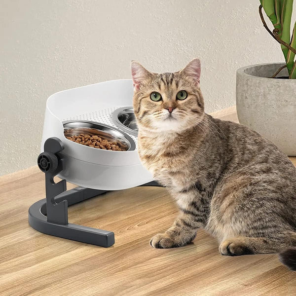 All for Paws Height Adjustable Cat Elevated Bowls - Stainless Steel Dog Food Water Bowls, Mess Proof Pet Feeding Bowls