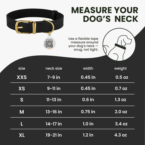 BRONZEDOG Leather Dog Collar with Metal Buckle, Durable Basic Pet Collars for Small Medium Large Dogs