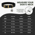 BRONZEDOG Leather Dog Collar with Metal Buckle, Durable Basic Pet Collars for Small Medium Large Dogs