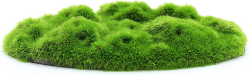 Penn-Plax Aqua-Flora Living Resin Decoration with Embedded Glosso Plant Seeds for Freshwater Fish