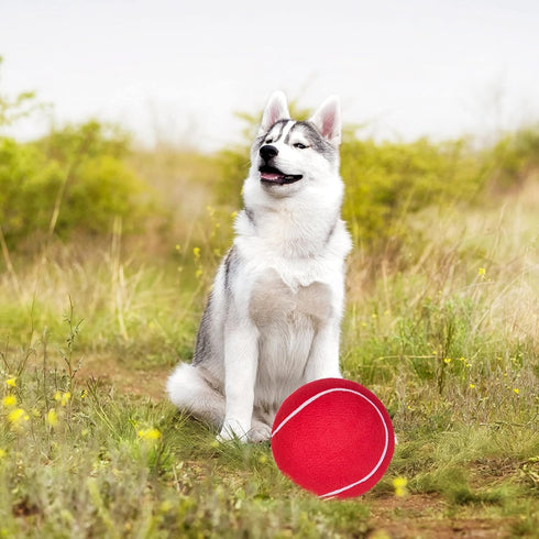 EXPAWLORER Dog Toy Ball (9.5’’ Giant Tennis Balls) for Dogs, Interactive Large Floating Toy