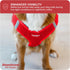 Downtown Pet Supply Step in Dog Harness for Small Dogs - No Pull, Medium, Red - Adjustable Harness with Padded Mesh