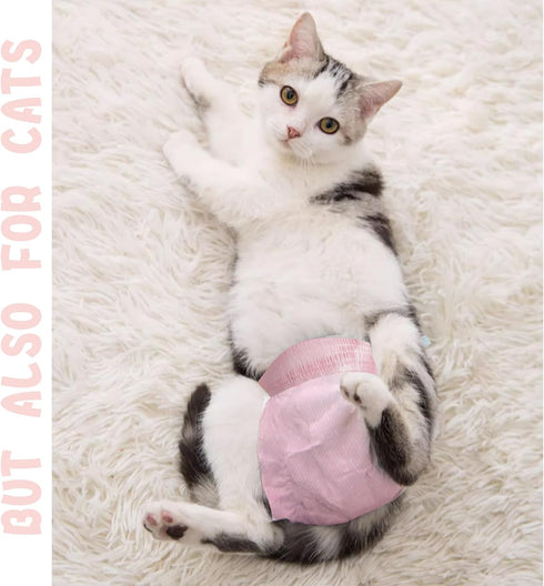 Xloey 10 Stretchy Disposable Diapers - Pcs Leak-Proof Pull-ups for Cats & Female Dogs in Heat, Incontinence & Training