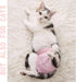 Xloey 10 Stretchy Disposable Diapers - Pcs Leak-Proof Pull-ups for Cats & Female Dogs in Heat, Incontinence & Training