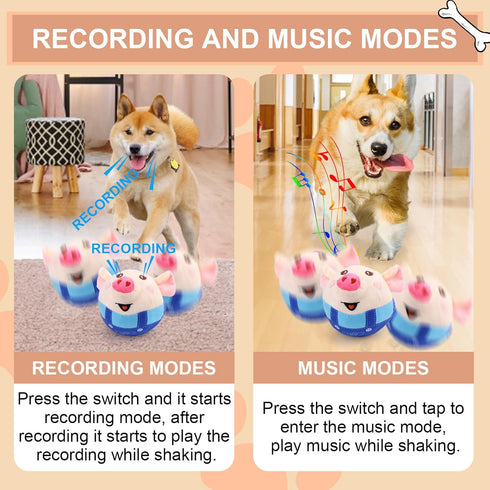 BABORUI Remote Control Interactive Dog Toys, Jumping Squeaky Pig with Recording and Music Modes, Rechargeable for All