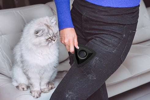 Pet Hair Cleaner for Furniture, Auto Detailing, Dog & Cat Hair Remover, Lint Brush for Couch and Carpet, Black