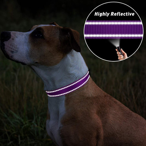 TagME Adjustable Reflective Nylon Dog Collar, Classic Pet Collar with Quick Release Buckle for Medium Dogs, Purple