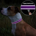 TagME Adjustable Reflective Nylon Dog Collar, Classic Pet Collar with Quick Release Buckle for Medium Dogs, Purple