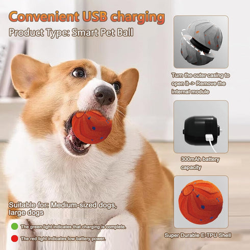 Loktoty IPX7 Smart Interactive Dog Toys Balls, Pelota Interactiva para Perros. Automatic Moving, Bouncing, E-TPU