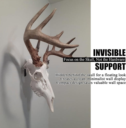 VMSIXVM European Mount Skull Hanger, Stainless Steel Euro Wall Mount Hanger for Deer, Antelope, Coyote and Other