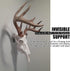 VMSIXVM European Mount Skull Hanger, Stainless Steel Euro Wall Mount Hanger for Deer, Antelope, Coyote and Other