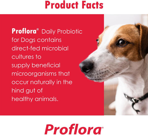 Probiotics for Dogs, Complete Gut Health & Immune Support, 60 Soft Chews, Easy to Use