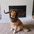 Onmygogo Funny Pet Moose Costumes for Dogs, Cute Furry Wig for Halloween Christmas, Pet Clothing Accessories, Size L