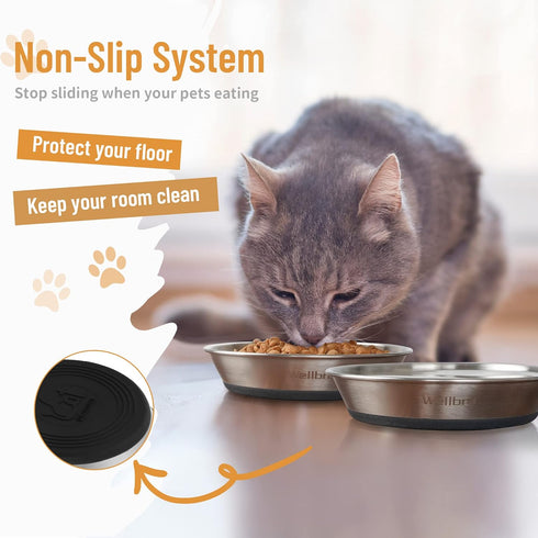 Cat Bowls, 2 Pcs Stainless Steel Bowls for Food and Water, Non-Slip Shallow Dishes for Small Dogs and Cats