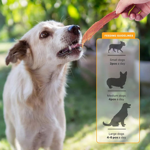Jungle Calling Dog Treats, Duck Jerky for Dogs, Slow Roasted Chewy Training Snacks for Medium and Large Dogs, 10.6 oz