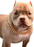 Gold Chain Dog Collar, 3/4 inch Cuban Link Necklace for Pit Bulldog, Light Metal Jewelry Chain, 17"