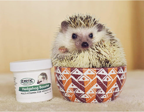 Complete Multivitamin Hedgehog Booster (2 oz.) - Powdered Vitamin & Mineral Supplement for Pet Hedgehogs