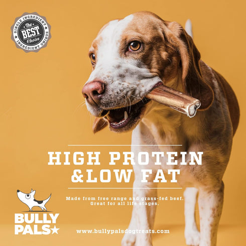 6" 10 Pack Standard Bully Sticks for Small to Medium Dogs - - Long Lasting, All Natural, Single Ingredient, Easily