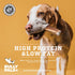 6" 10 Pack Standard Bully Sticks for Small to Medium Dogs - - Long Lasting, All Natural, Single Ingredient, Easily