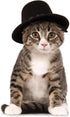 Rubies Top Hat Pet Hat for Dogs or Cats, M/L