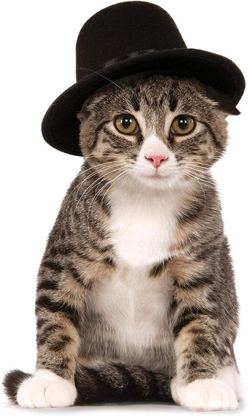Top Hat Pet Hat for Dogs or Cats, S/M by Rubies
