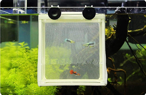 Fish Hatchery Breeder Box, Nylon Incubator Mesh for Fish Breeding Tanks Isolation Box (White Square, 20PCS)