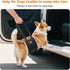 LOOBANI Portable Dog Sling for Back Legs - Hip Support Harness for Canine Aid and Rehabilitation