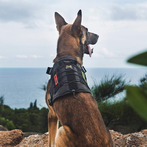 OneTigris Tactical Dog Harness Vest, No-Pull Service Vest with Hook & Loop Panels, Adjustable for Training (Black, XS)