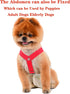 TESSVEYA 4 Pcs Dog Diaper Suspenders | Cat Suspenders | Female Male Dog Skirt Dress & Diaper Keeper | for Small Medium
