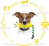 Sumind Dog Tough Corn Toys for Aggressive Chewers, Indestructible Squeaky Toothbrush Interactive Toys for Small Medium