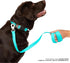 Nandog Pet Gear Waterproof Poly-Flex Sport Dog Leash with Double Latch Technology for Extra Safety & Protection (Aqua