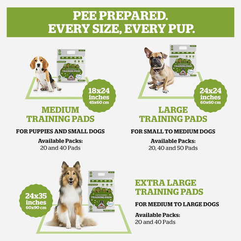 40-Count (24x35in) Pogis Potty Pads with Sticky Tabs XL, Super Absorbent, Odor Blocking