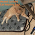 Puppy Heating Pad for Whelping New Born Dogs, Heated Bed with Auto Shut Off Timer, 9 Level Heater, Large 34x21 in
