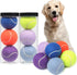 Pet Dog Playing Balls, 6 Pack Advanced Training Tennis Balls for Dogs, Good for Beginner Training, Polychrome Canned