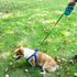 Retractable Dog Leash 10/16FT, Lightweight with Non-Slip Handle for Small Medium Dogs, Gray Blue