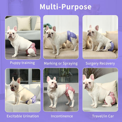 Dogs,4 Pack JoyDaog Female Dog Diapers for Large Reusable Washable Premium Doggie Diapers for Heat,Incontinence,Period
