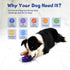 Dog Chew Toys for Aggressive Chewers - Natural Rubber Toys for Medium Large Dogs, Durable Indestructible Dog Toys