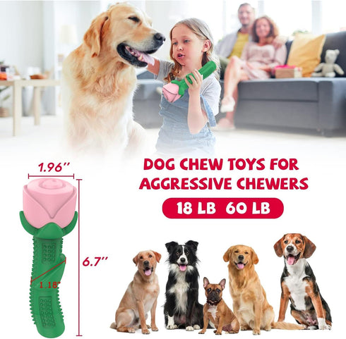 ucho Interactive Chew Toys for Aggressive Chewers, Dog Toy for Training and Teeth Cleaning (Champagne, Roses)
