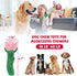 ucho Interactive Chew Toys for Aggressive Chewers, Dog Toy for Training and Teeth Cleaning (Champagne, Roses)