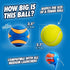 18" 2 Pack (2.5") 20-60 lbs, Chuckit! Ultra Ball & Launcher Bundle - Sport with Medium Bouncy Fetch Balls for Dogs Dog