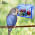 Large or Small Treasure Chest, Perfect Bird Cage Toy, Colorful, Safe, Easy to Install