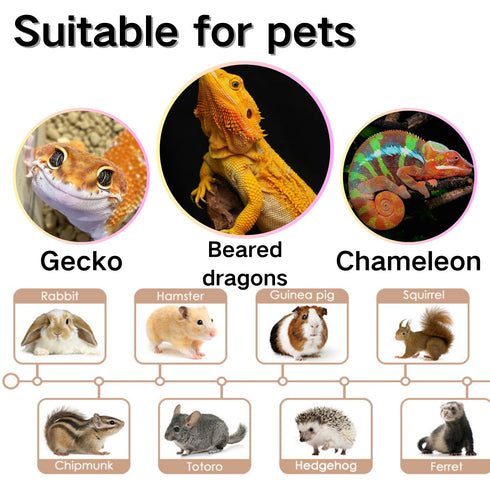 6 Swimming Pcs Hedgehog Bath Supplies Kit, Foldable Bathtub and Cleaning Brush with Pet Hair Comb, Pet Nail Clipper