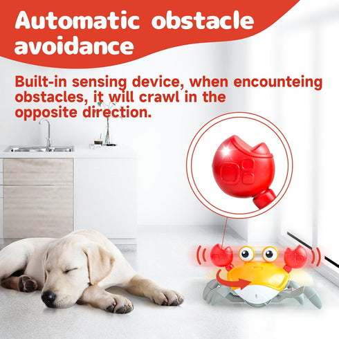 Crawling Crab Dog Toys, Interactive USB Rechargeable Toy with Music Sounds & Lights for Dogs and Cats